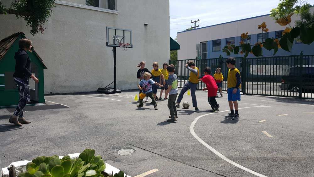 Physical Education at Glendale Montessori School