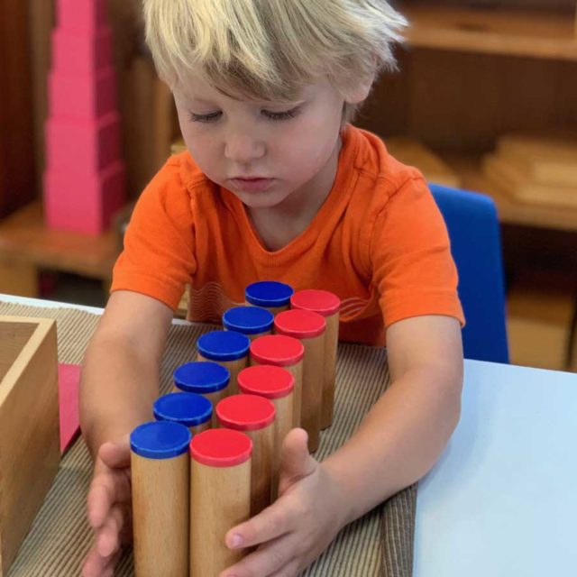 Glendale Montessori School - Child in Primary Classroom